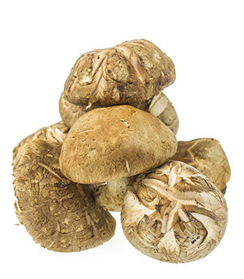 Kërpudha shitake të thata, 50g