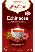 Çaj Echinacea
